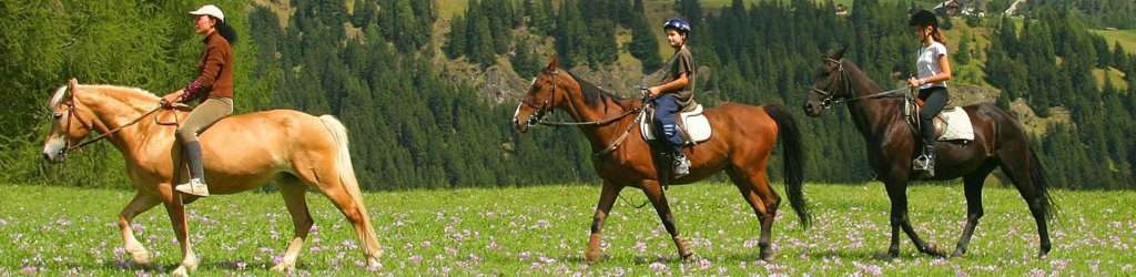 horseriding7