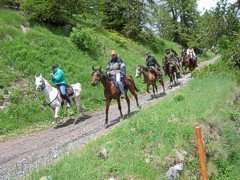 horseriding4